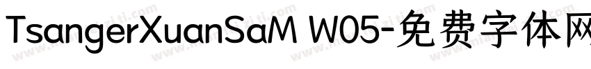 TsangerXuanSaM W05字体转换